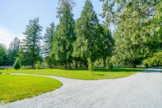 Photo 8: 21776 6 Avenue in Langley: Campbell Valley House for sale in "CAMPBELL VALLEY" : MLS®# R2476561