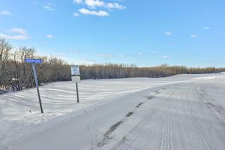 Photo 14: 1 Bruhn Bend: Rural Ponoka County Residential Land for sale : MLS®# A2102788
