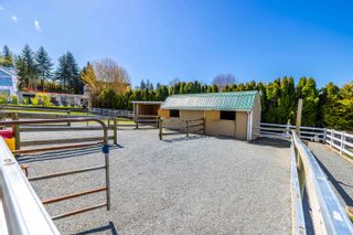 Photo 6: 20498 1 Avenue in Langley: Campbell Valley House for sale : MLS®# R2871582