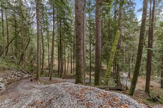 Photo 31: 14276 SILVER VALLEY Road in Maple Ridge: Silver Valley House for sale : MLS®# R2752988