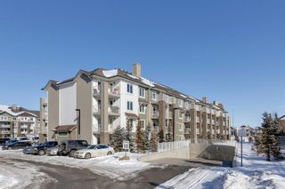 Photo 29: 1301 6118 80 Avenue NE in Calgary: Saddle Ridge Apartment for sale : MLS®# A2031427