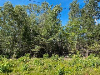 Photo 3: Lot 91-M1 West Tatamagouche Road in West Tatamagouche: 103-Malagash, Wentworth Vacant Land for sale (Northern Region)  : MLS®# 202412357