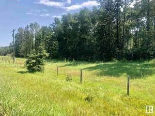 Photo 5: Hwy 780 Twp Rd 470: Rural Wetaskiwin County Rural Land/Vacant Lot for sale : MLS®# E4288613