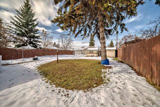 Photo 28: 2223 46 Street SE in Calgary: Forest Lawn Detached for sale : MLS®# A2121892