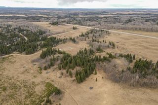 Photo 13: 64049 (A&B) Highway 54: Rural Clearwater County Agriculture for sale : MLS®# A1209840