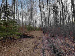 Photo 8: 15 54023 RGE RD 280: Rural Parkland County Rural Land/Vacant Lot for sale : MLS®# E4291501