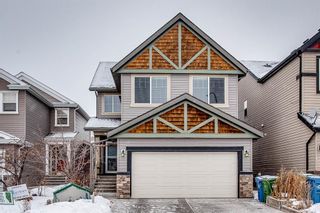 Photo 1: 691 COPPERPOND Circle SE in Calgary: Copperfield Detached for sale : MLS®# A1063241