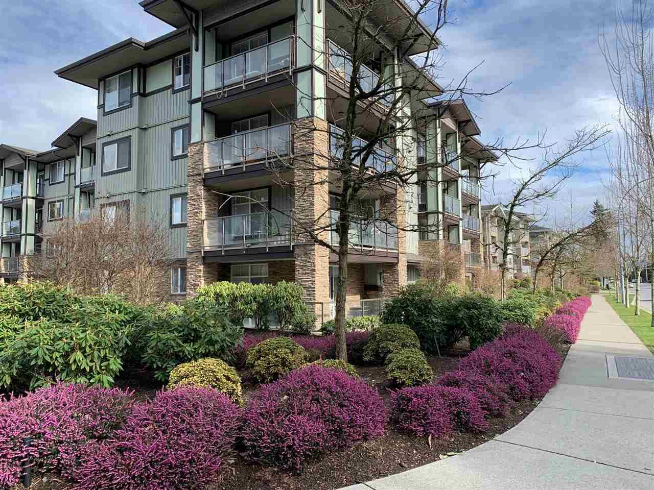 Main Photo: 111 2038 SANDALWOOD CRESCENT in Abbotsford: Central Abbotsford Condo for sale : MLS®# R2443524