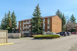 Photo 15: 933 11620 Elbow Drive SW in Calgary: Canyon Meadows Apartment for sale : MLS®# A2131177