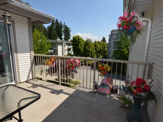 Photo 1: 310 19122 122ND Avenue in Pitt Meadows: Central Meadows Condo for sale in "EDGEWOOD MANOR" : MLS®# V1069854