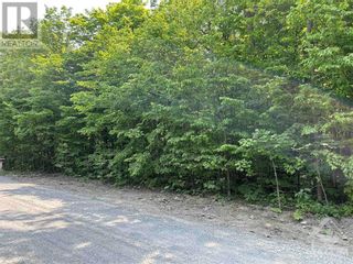 Photo 4: 8022 COOPER HILL ROAD in Metcalfe: Vacant Land for sale : MLS®# 1352528