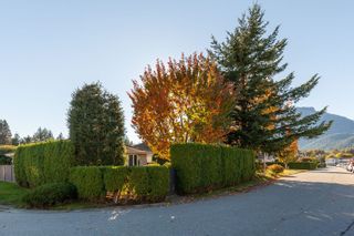 Photo 29: 1832 WILLOW Crescent in Squamish: Garibaldi Estates House for sale : MLS®# R2629966