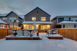 Photo 43: 33 Masters Place SE in Calgary: Mahogany Detached for sale : MLS®# A1184200