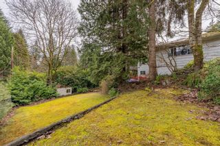 Photo 6: 620 KENWOOD Road in West Vancouver: British Properties House for sale : MLS®# R2779431