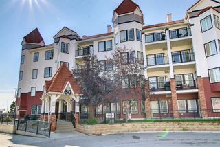 Main Photo: 221 60 ROYAL OAK Plaza NW in Calgary: Royal Oak Apartment for sale : MLS®# A1243882