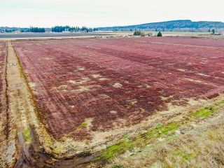 Photo 10: 8201 DYKE Road in Abbotsford: Bradner Agri-Business for sale : MLS®# C8049062