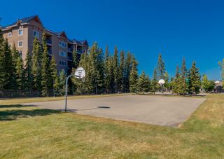 Photo 34: 219 20 Discovery Ridge Close SW in Calgary: Discovery Ridge Apartment for sale : MLS®# A1251404