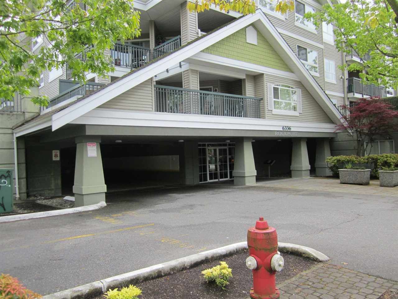Main Photo: 313 6336 197 Street in Langley: Willoughby Heights Condo for sale in "The Rockport" : MLS®# R2166525
