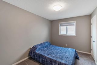 Photo 30: 260 Nolancrest Heights NW in Calgary: Nolan Hill Detached for sale : MLS®# A1117990
