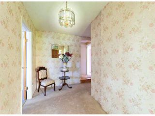 Photo 7: 1061 EWSON Street: White Rock House for sale (South Surrey White Rock)  : MLS®# F1423290
