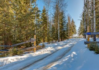 Photo 12: 31 5413 Highway 579: Rural Mountain View County Detached for sale : MLS®# A2036330