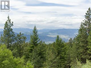 Photo 29: LOT 4 WHITETAIL Place in Osoyoos: Vacant Land for sale : MLS®# 198188
