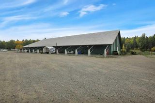 Photo 33: 33023 Range Road 43: Rural Mountain View County Agriculture for sale : MLS®# A2082781