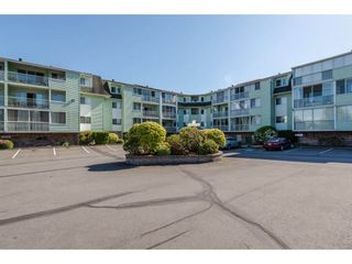 Photo 1: 101 31850 UNION Street in Abbotsford: Abbotsford West Condo for sale in "Fernwood Manor" : MLS®# R2170353