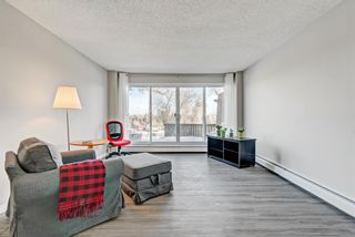 Photo 4: 511 8948 Elbow Drive SW in Calgary: Haysboro Apartment for sale : MLS®# A2019611