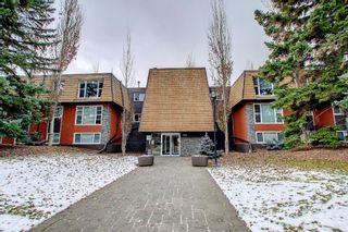 Photo 29: 306 315 50 Avenue SW in Calgary: Windsor Park Apartment for sale : MLS®# A1181961