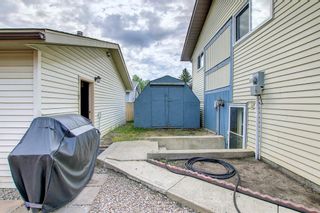 Photo 43: 7 Erin Park Close SE in Calgary: Erin Woods Detached for sale : MLS®# A1225142