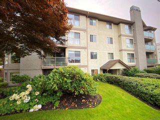 Photo 1: 101 1597 Mortimer St in Saanich: SE Mt Tolmie Condo for sale (Saanich East)  : MLS®# 855808