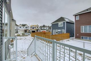 Photo 50: 157 Carrington Close NW in Calgary: Carrington Detached for sale : MLS®# A1206742
