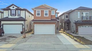 Photo 41: 23 Taracove Estate Drive NE in Calgary: Taradale Detached for sale : MLS®# A2124428