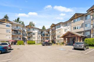 Photo 24: 204 2990 BOULDER Street in Abbotsford: Abbotsford West Condo for sale in "WESTWOOD" : MLS®# R2714425