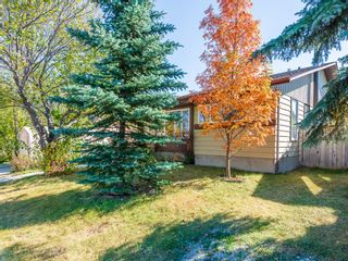Photo 2: 51 Templewood Mews NE in Calgary: Temple Detached for sale : MLS®# A1039525