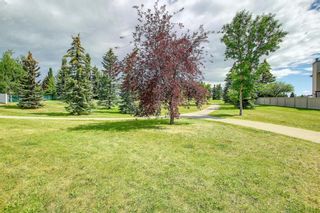 Photo 26: 133 Scripps Landing NW in Calgary: Scenic Acres Detached for sale : MLS®# A1244839