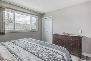 Photo 18: 207 Whitaker Close NE in Calgary: Whitehorn Detached for sale : MLS®# A2047027