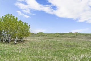 Photo 7: 260100 Glenbow Road in Rural Rocky View County: Rural Rocky View MD Land for sale : MLS®# C4239441