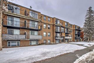 Photo 2: 403 510 58 Avenue SW in Calgary: Windsor Park Apartment for sale : MLS®# A2105928