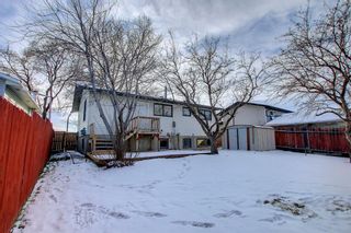 Photo 26: 212 Rundlefield Road NE in Calgary: Rundle Detached for sale : MLS®# A1166043