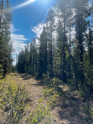 Photo 6: LOT 20 ST MARIE Lake in Prince George: Buckhorn Land for sale in "Giscome-Penny" (PG Rural South)  : MLS®# R2702746