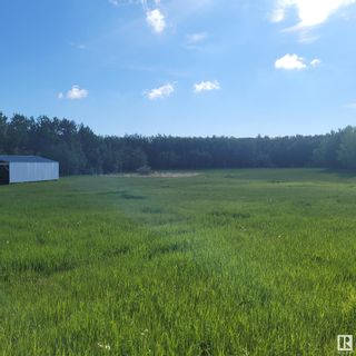 Photo 21: 53027 RGE RD 215: Rural Strathcona County Rural Land/Vacant Lot for sale : MLS®# E4293791