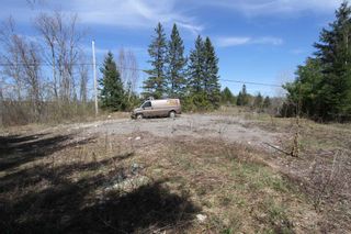 Photo 7: 259 County Rd 41 Road in Kawartha Lakes: Rural Bexley Property for sale : MLS®# X5210398