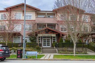 Photo 1: 317 41105 TANTALUS Road in Squamish: Tantalus Condo for sale in "Galleries" : MLS®# R2867711