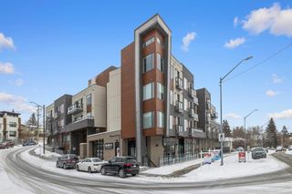 Photo 28: 301 93 34 Avenue SW in Calgary: Parkhill Apartment for sale : MLS®# A2033686
