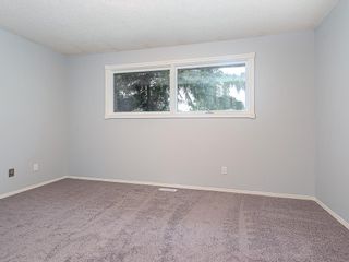 Photo 14: 3240 56 Street NE in Calgary: Pineridge Detached for sale : MLS®# C4256350