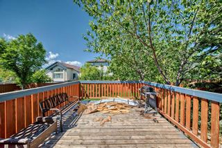 Photo 10: 122 Royal Birch Gardens NW in Calgary: Royal Oak Detached for sale : MLS®# A2144316