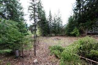 Photo 23: 99 Fraser Crescent: Anglemont Land Only for sale (North Shuswap)  : MLS®# 10097577