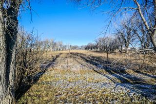 Photo 11: LOT 1 TIGERMOTH Crescent N in Rural Willow Creek No. 26, M.D. of: Rural Willow Creek M.D. Commercial Land for sale : MLS®# A2092326